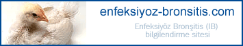 enfeksiyoz-bronsitis-com